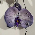 A61