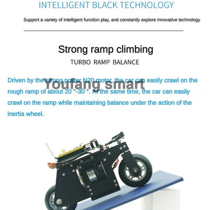 RC Tank 3D Printing Bike Cubli Balance Motorcycle APP Control 2WD Robotic Car for STM32 Programmable Robot Kit Robot Car Project