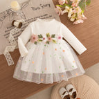 Long Sleeved Dress / 12-18M