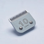 NO.10