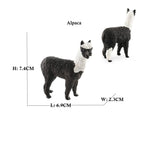 Alpaca H