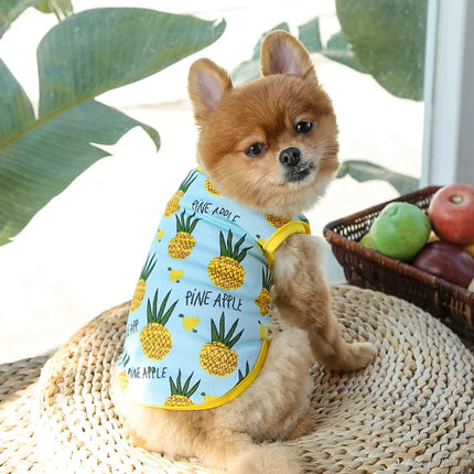 Dog Cat Puppy Kitten Pet Cartoon Spring Summer Autumn Cotton Clothes Clothing Vests Coats Jackets Shirt Dresses Costume