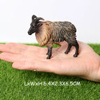 sheep-1