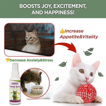 Catnip Spray for Cats, Cat Scratching Spray to Boost Play, Calm Stress & Renew Toys, Transparent Cat & Kitten Behavior Spray 60 ml
