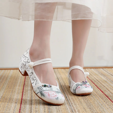 Shoes for Women Embroidery Ethnic Style Traditional Old Beijing Streetwear Dance Vintage Cheongsam Chinese Style Hanfu Qi Pao