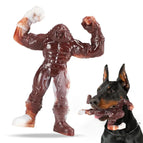 Muscle Warrior