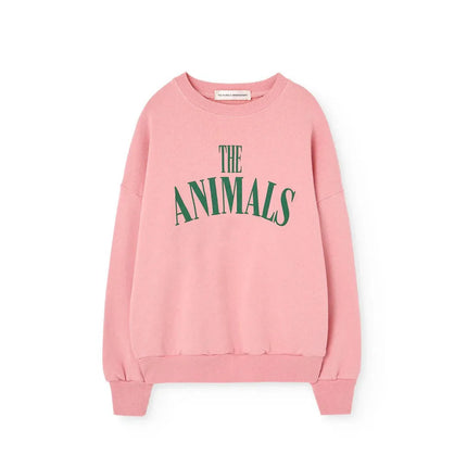 2026 Brand New Spring Autumn Kids Sweaters Hoodies For Boys Girls Cute Print Sweatshirts Baby Child Fashion Outwear Clothes