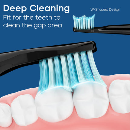 Seago SG-D010 Replacement Brush Heads for SG-575, SG-958, and SG-551 Electric Toothbrush - Soft Bristles, 4-Pack Deep Clean