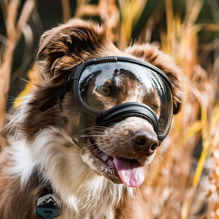 ATUBAN Dog Goggles Pet Glasses Anti UV Strong Impact Resistance Adjustable Puppy Large Breed Goggles Breathable Pet Sunglasses