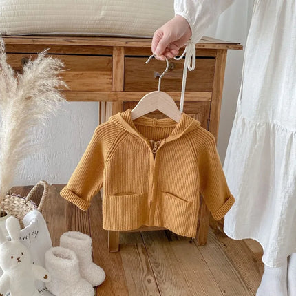 New Spring Autumn Toddler Girl Boy Sweater Coat Knit Hooded Cardigan Long Sleeve Top with Pockets Warm Casual Outerwear A5336