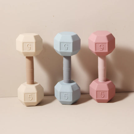 Baby Teething Toy Rattle Dumbell Infant 5kg Teether Chewing Silicone 0-2 Years