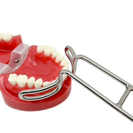 Dental Double-headed retractor Dental Stainless steel Mouth Expand Lip Retractor Intraoral Cheek Upper Lower Lip