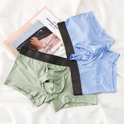 Men Boxers Underwear Man Sexy Long Bulge Pouch Boxershorts Underpants hombre Elephant Cock Panties Bullet Separation