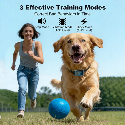 1000M Dog Training Collar ,Universal Dog Bark Collar,Waterproof Rechargeable ,Dog Shock Collar with Remote and Auto Modes Collar