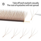 Brown 3D W / D / 13mm