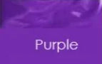 PURPLE / XS