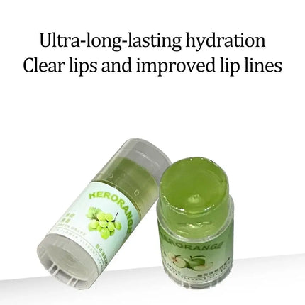 Moisturizing Lip Balm Natural Plant Hydrating Soothing Anti Dryness Anti Crack Multi Fruity Jelly Fresh Daily Lip Care