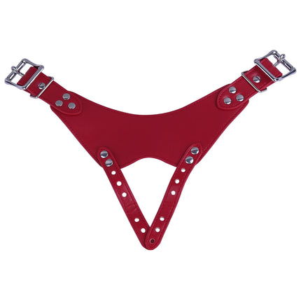 LEZEE Male Chastity Belt Underwear Harness Strap For Penis Cage Auxiliary Lock Belts Penis Bondage Band Underwear Sex Toys