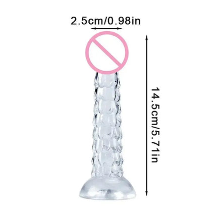 【AN】23cm Dragon Dildo Suction Cup Anal Plug Whip Buttplug Anus Dilator Female Vaginal Masturbator Butt Plug Sex Toys For Women M