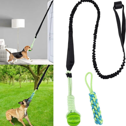Spring Pole Dog Rope Toys, Dog Interactive Tether Tug of War Toy, Indoor/Outdoor Bungee Hanging Dogs Toy