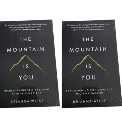 New The Mountain Is You: Transforming Self-Sabotage Into Self-mastery English Books Birthday Gifts