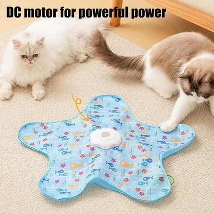 Cat Toys Interactive Hide and Seek Cat Toy with Mouse Squeaky Motion Activated Moving Concealed Feathers Kitten Teaser Toy