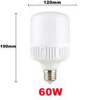 60W / White Light