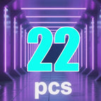 22 PCS