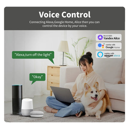 Wifi+Bluetoot Mini Smart Switch 16A DIY Light Switches 2 Way Wireless Smart Break Work with Tuya App Alexa Google Home Alice