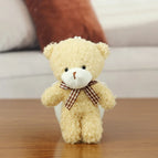 Light brown / China Mainland / 500PCS