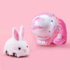 2.4G pink Rabbit / China Mainland
