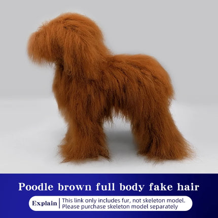Poodle dog pet professional beauty simulation wig model practice special skeleton environmentally friendly PE material