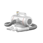 T1 China plug 220V