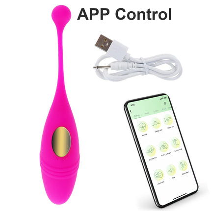 Panties Wireless Remote Vibrator Vagina Vibrating Egg Wearable Balls Vibrators G Spot Clitoris Massager Adult Sex Toys for Women