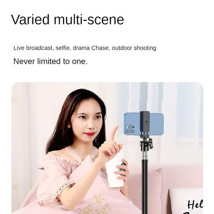 160cm Live Broadcast Tripod Landing Type Camera Anchor Selfie Light Frame Metal Thermometer Phone Holder