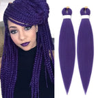 100g D Purple / 2Pcs