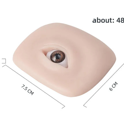 A Pair Three-Dimensional Eyebrow And Eye Module With Eye Practice Skin Simulation Human Soft Silicone Line Eyebrow For Beginners