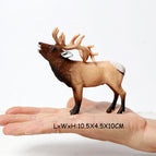 Elk D