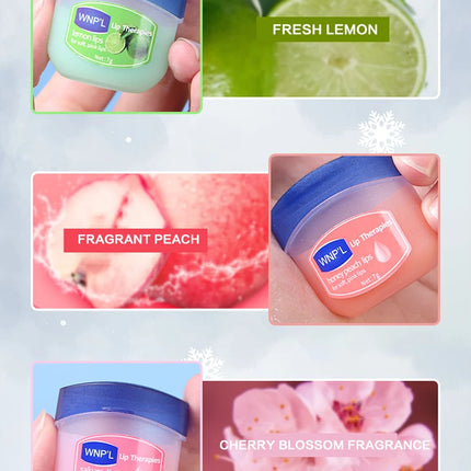 New 4/6/8pcs Moisturizing Lip Balm Sets Lipstick Makeup Natural Plant Base Moisturizer Lip Balm Anti-Cracking Lips Skin Care