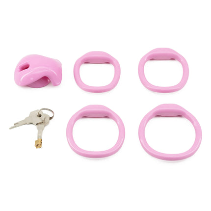 Male Chastity Cage with 4 Size Rings Positive/Negative Chastity Device Sissy Cb Lock Penis Bondage SM Chastity Lock Sex Toys Men