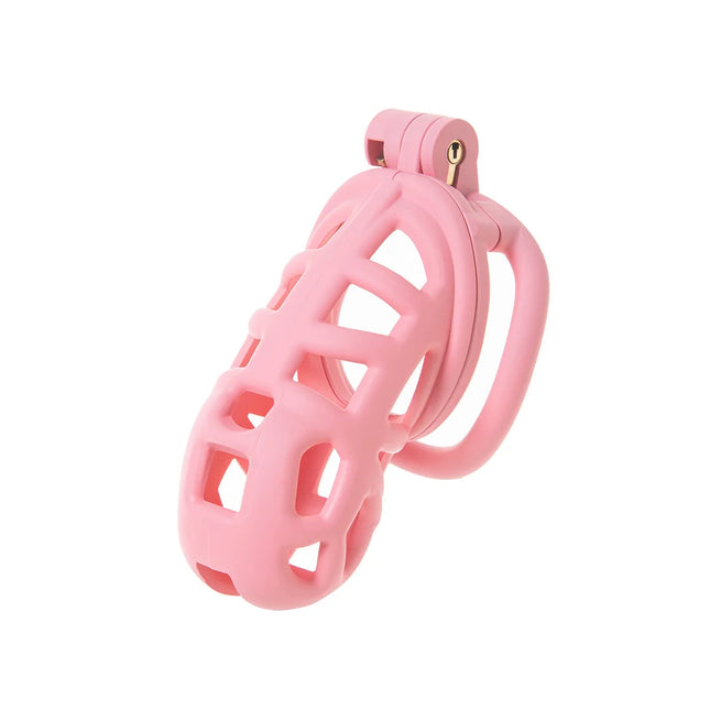 2026 New Chastity Lock Cage SM Flirting Breathable Resin Male Virginity Device Male Penis Lock with 4 Rings