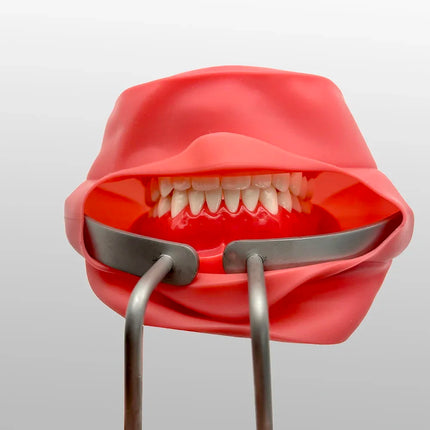 Dental Implant Surgical Retractor Inverse Angle Lip and Cheek Retractor for Mouth Opening Oral Procedures