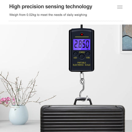 40kg x 10g Portable Mini Electronic Digital Scale Hanging Fishing Luggage Pocket Weight Balance Steelyard