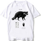 BJ3870-7-white / XS