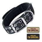 Black Collar / M