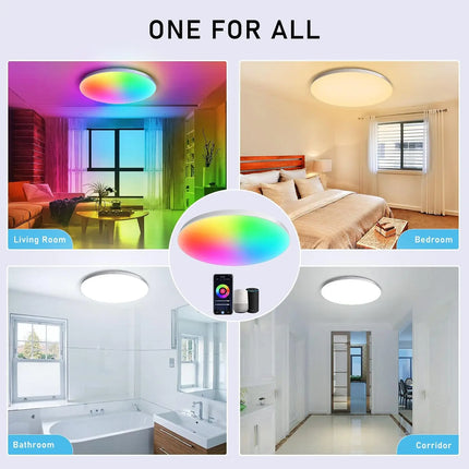 Tuya Zigbee Smart LED Ceiling Lamp WiFi Room Decor RGBCW Ceiling Light App Voice Control Alexa/Google Round Ceiling Lights