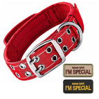 Red Collar / XL