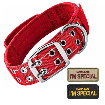 Heavy Duty Double Buckle Design Tactical Dog Collar - Military-Grade Dog Collar with Handle for Medium and Large Dogs