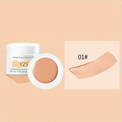 High Coverage Concealer Cover Anti Dark Circle Freckle Long-lasting Waterproof Foundation BB Cream For Face Makeup Base Cosmetic
