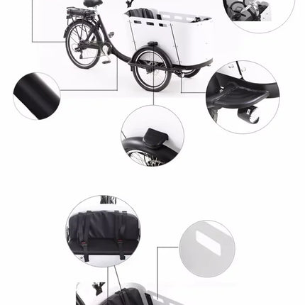 Electric Cargo Bicycle Cargo Bike Used for Family 3 Wheel Bike to Carry Kids